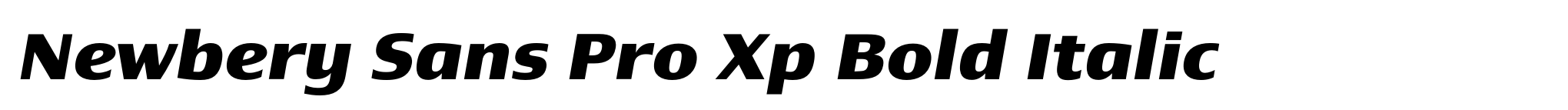 Newbery Sans Pro Xp Bold Italic image